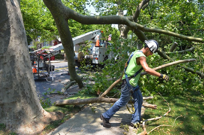 storm cleanup