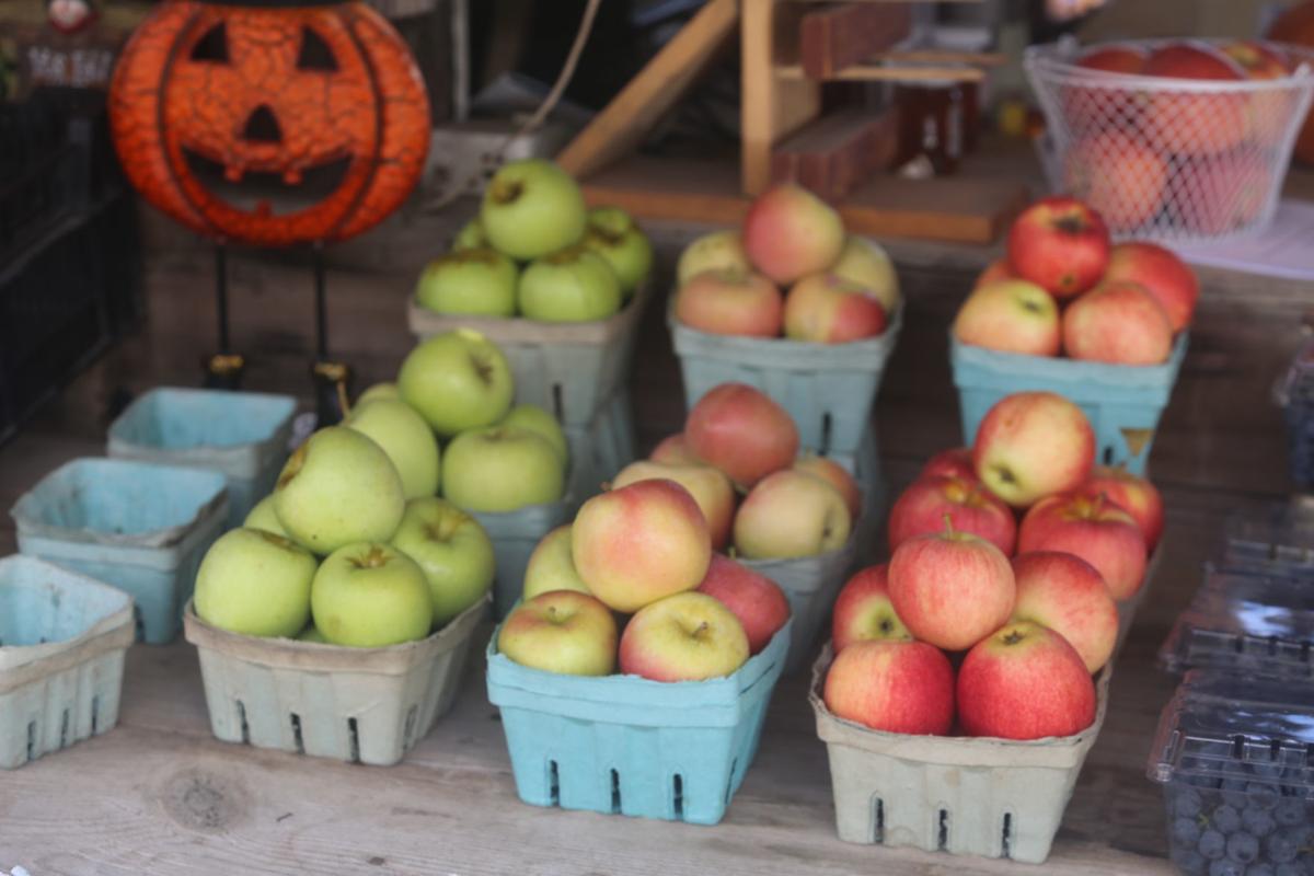GALLERY At Butterhof's shady Brook farm