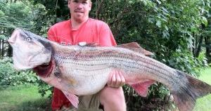 Striped bass world record officially leaves Atlantic City as Connecticut  angler's catch is approved