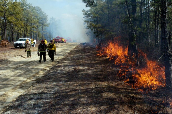 controlled burn