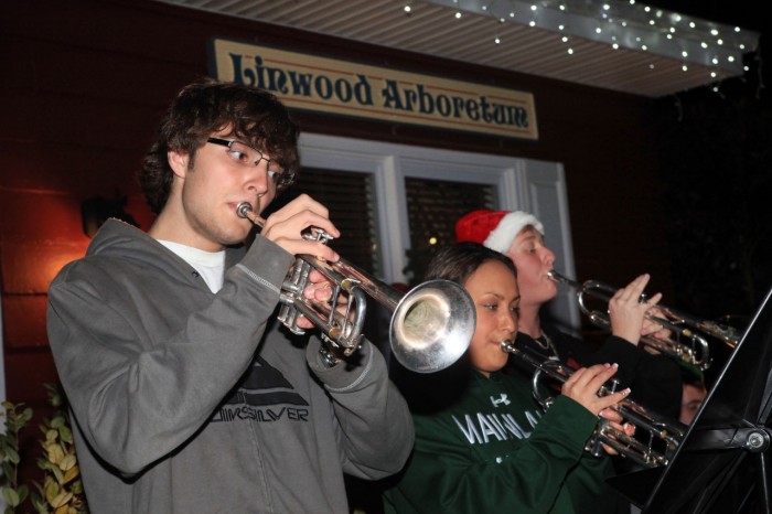 Linwood Tree Lighting