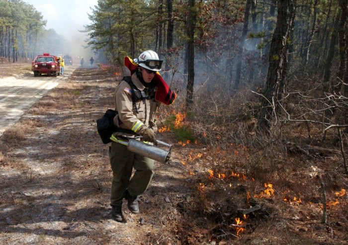 controlled burn
