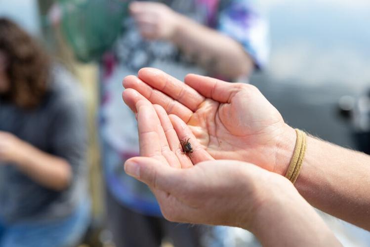 Fish Monitoring Study Gives Students Data to Explore