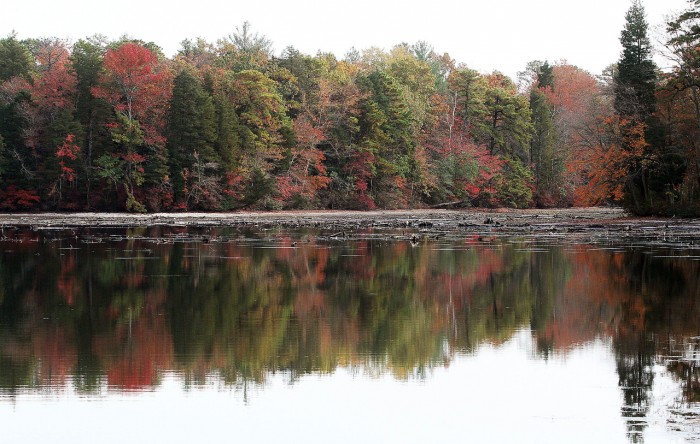 Lake Nummy