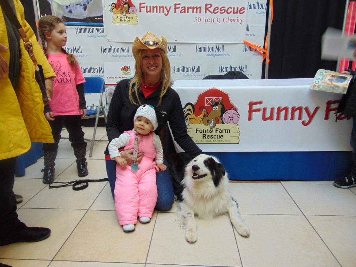 Funny Farm Rescue An Animal Sanctuary Mays Landing Nj - Funny Goal