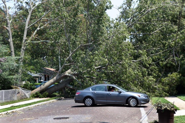 Storm Damage Sunday