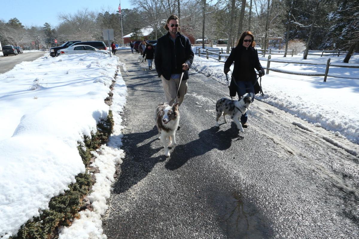 Pack Walk Photo Galleries