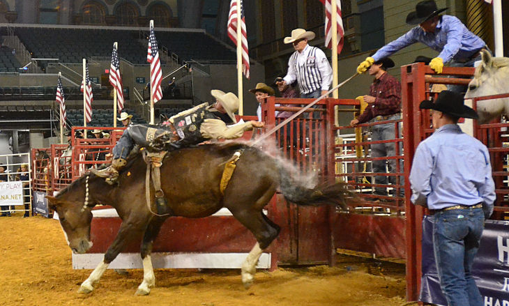boardwalk rodeo