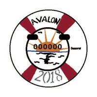 Aiden Foxx wins Avalon beach tag art contest