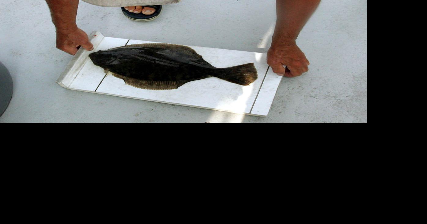 Flounder length and bag limits set for the season