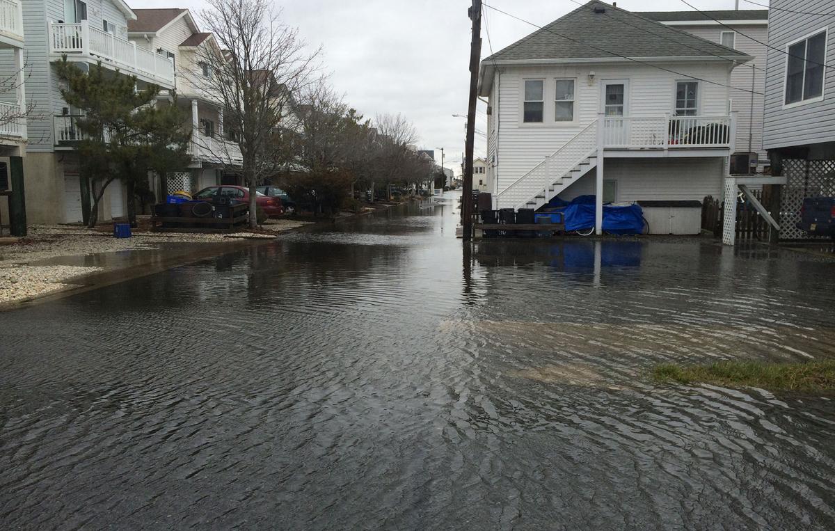 Stella in Ocean City