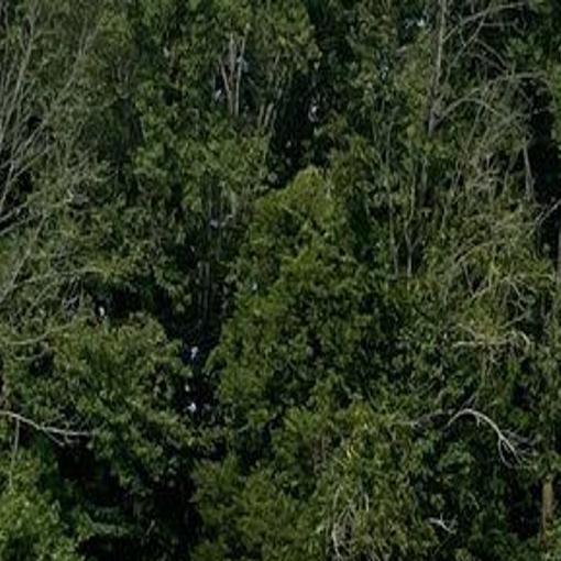 atlantic christian academy soccer