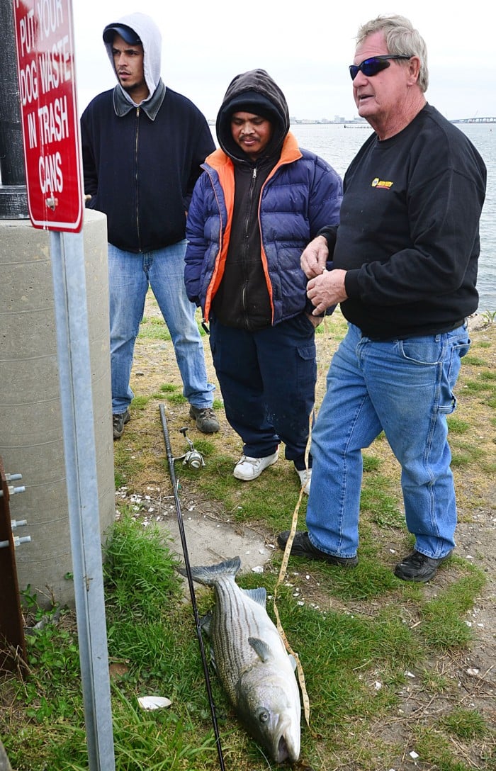 fish advisories