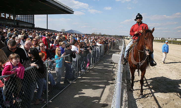Day at the Races