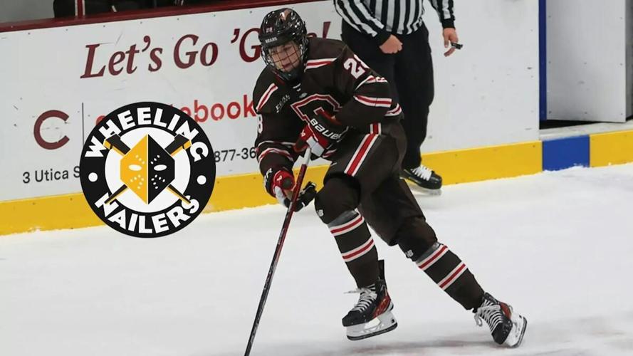Hartman inks deal with Nailers