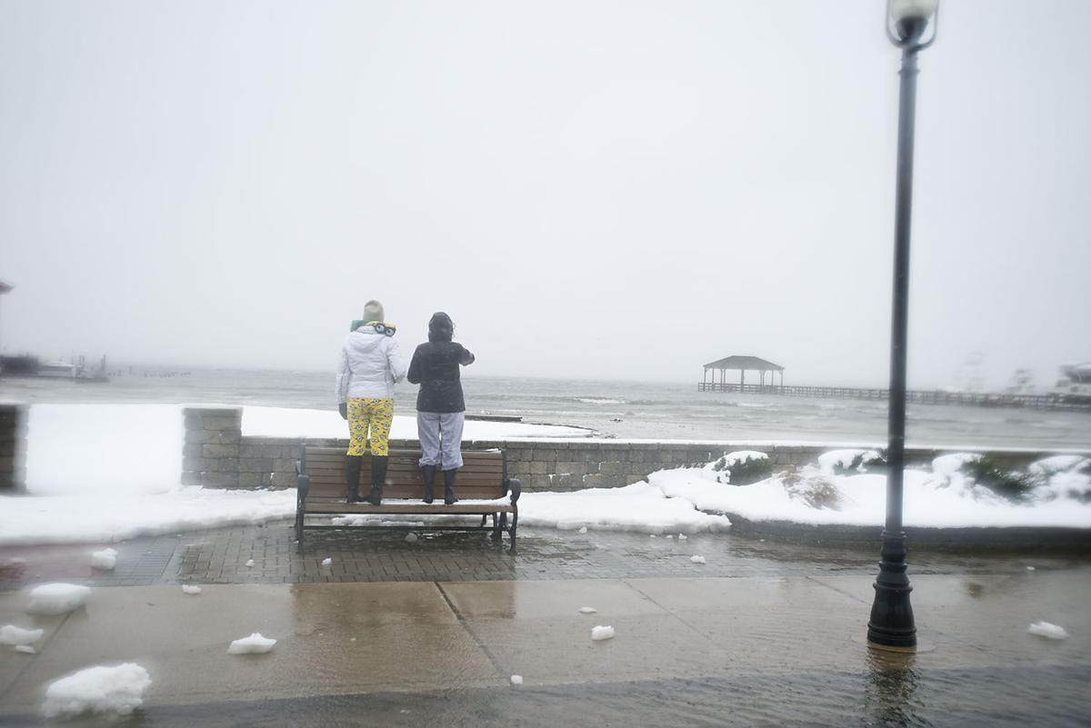 January Storm Photos