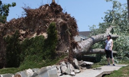 Storm Damage Sunday