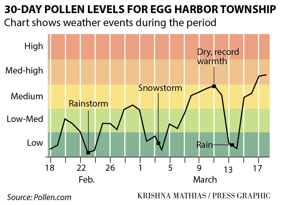 Pollen Count Chart