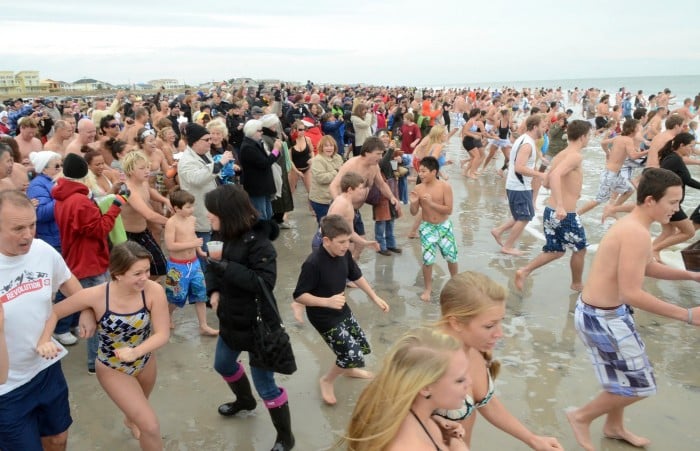 polar bear plunge