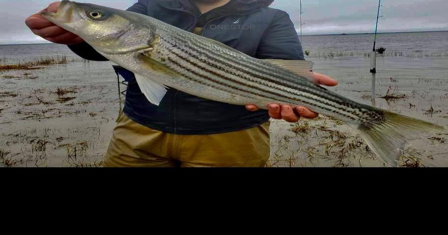 NJDEP Division of Fish & Wildlife - New Circle Hook Requirement When Fishing  for Striped Bass With Bait