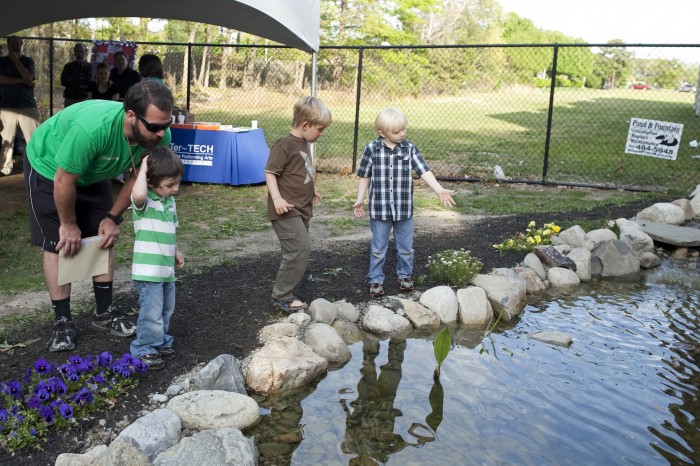 dbml m9 pond108113331.jpg