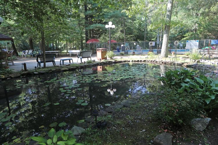 EHT campground owner wants to make it a place for tiny homes