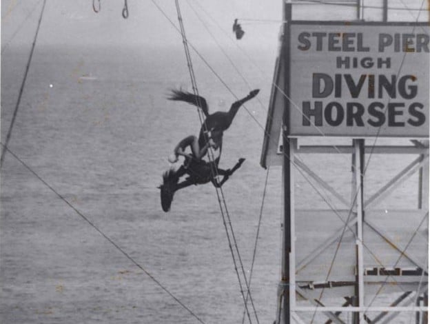 Plan to bring diving horse act back to Steel Pier draws criticism from animal-rights activists | Latest Headlines | pressofatlanticcity.com