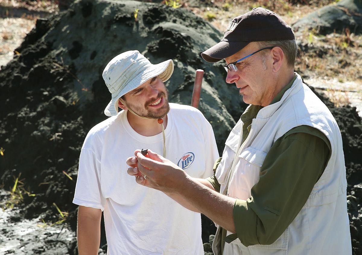 mantua dinosaur dig
