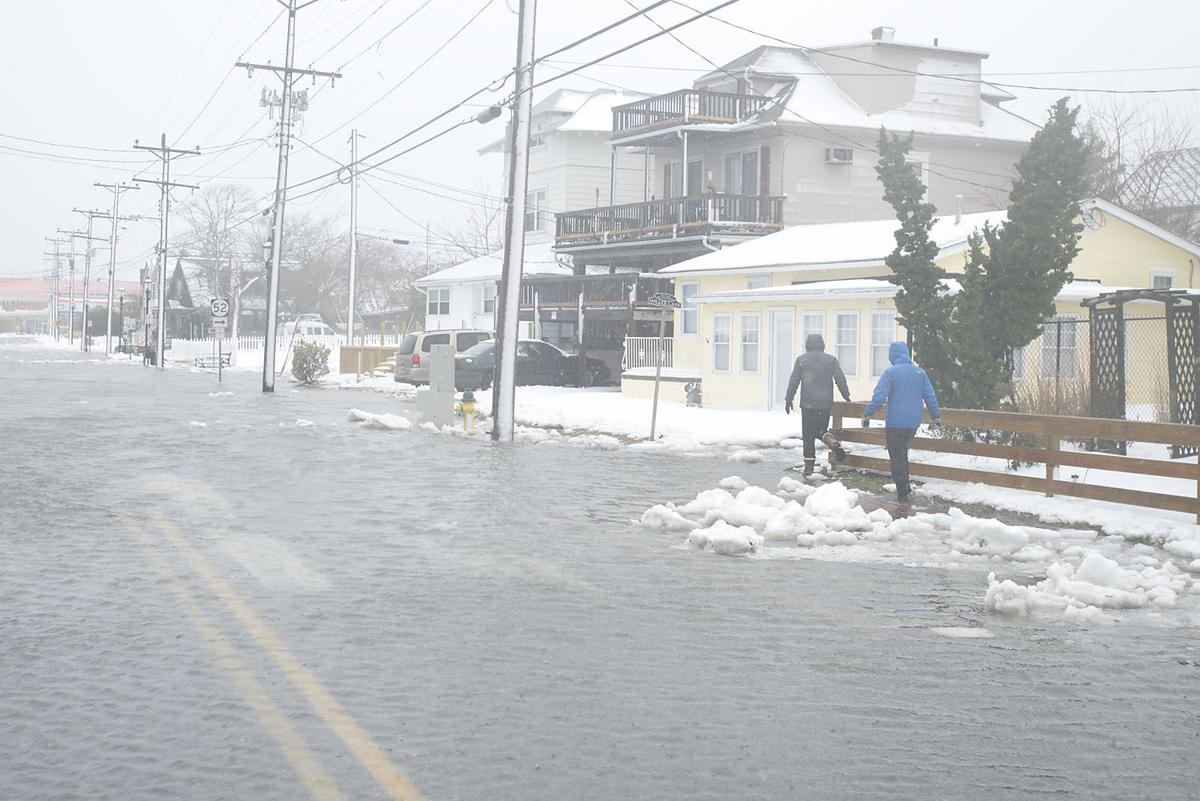 January Storm Photos