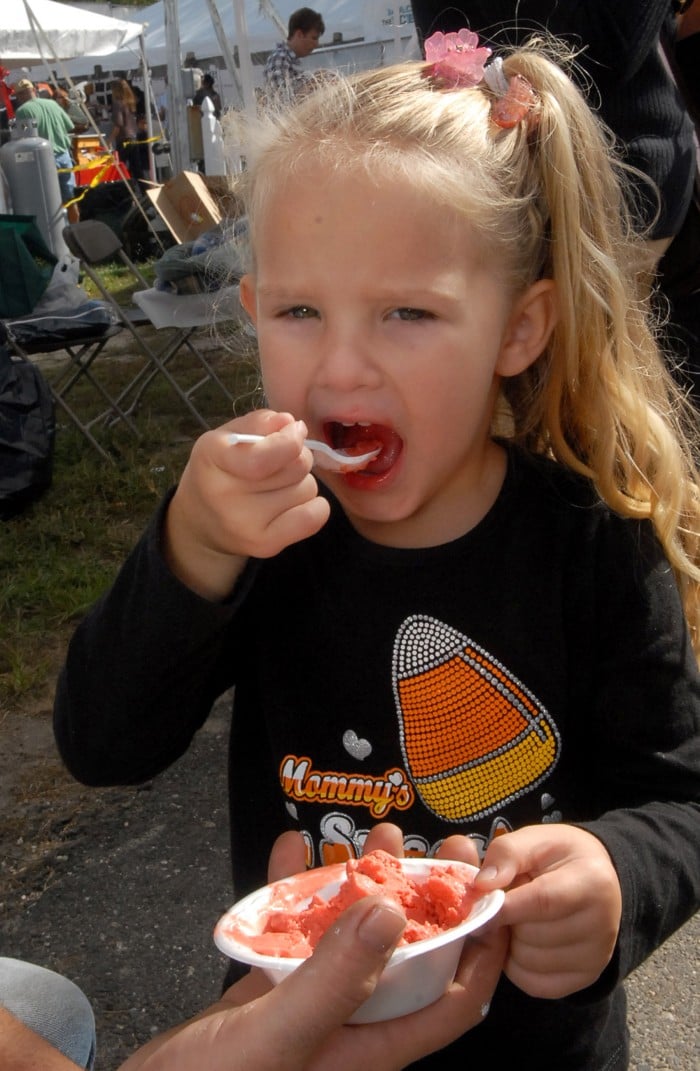 Chatsworth Cranberry Festival offers treats and tons of fun Ocean