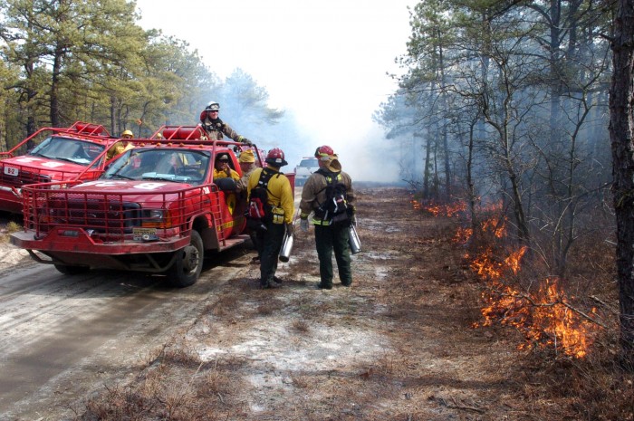 controlled burn
