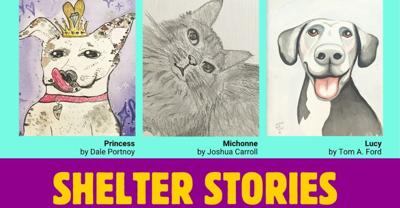 Atlantic Cape Art Gallery Hosting “Shelter Stories” Exhibit Through September 17