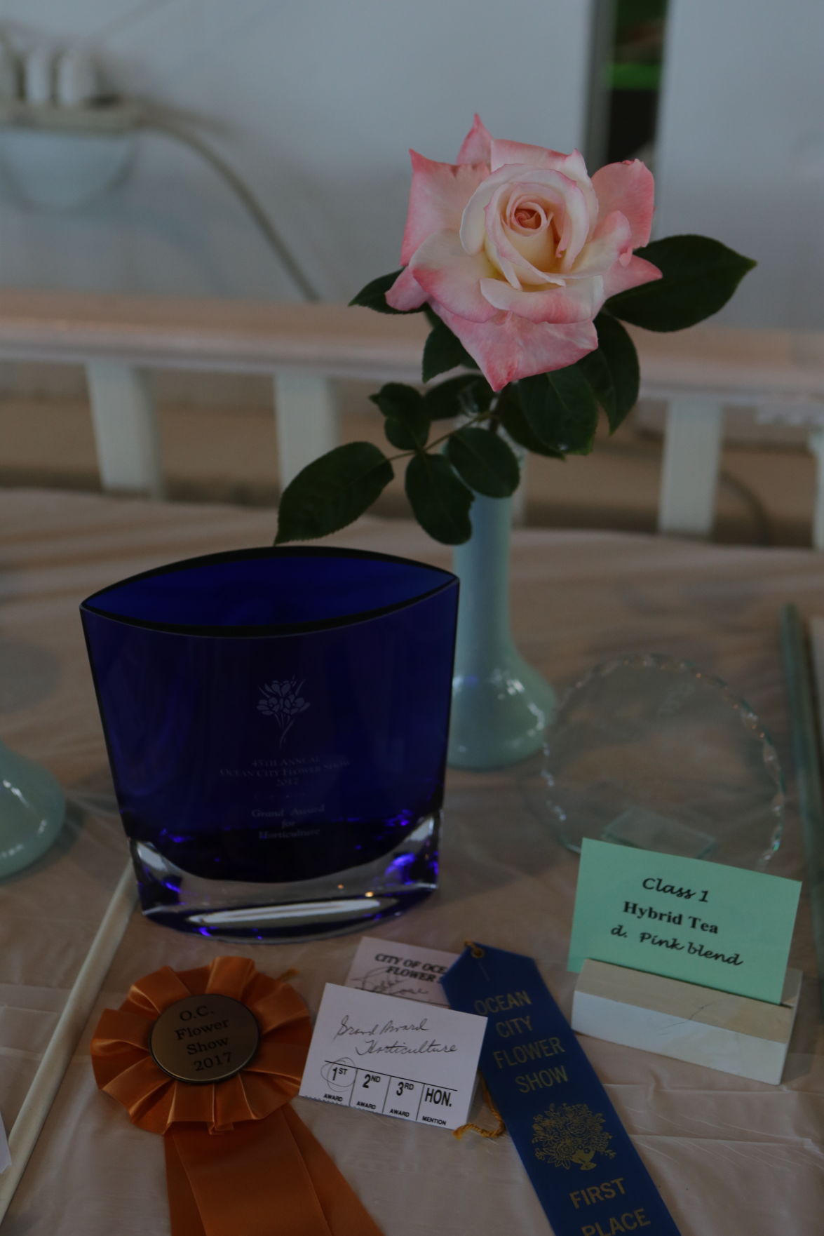 Garden Club's 45th annual flower show