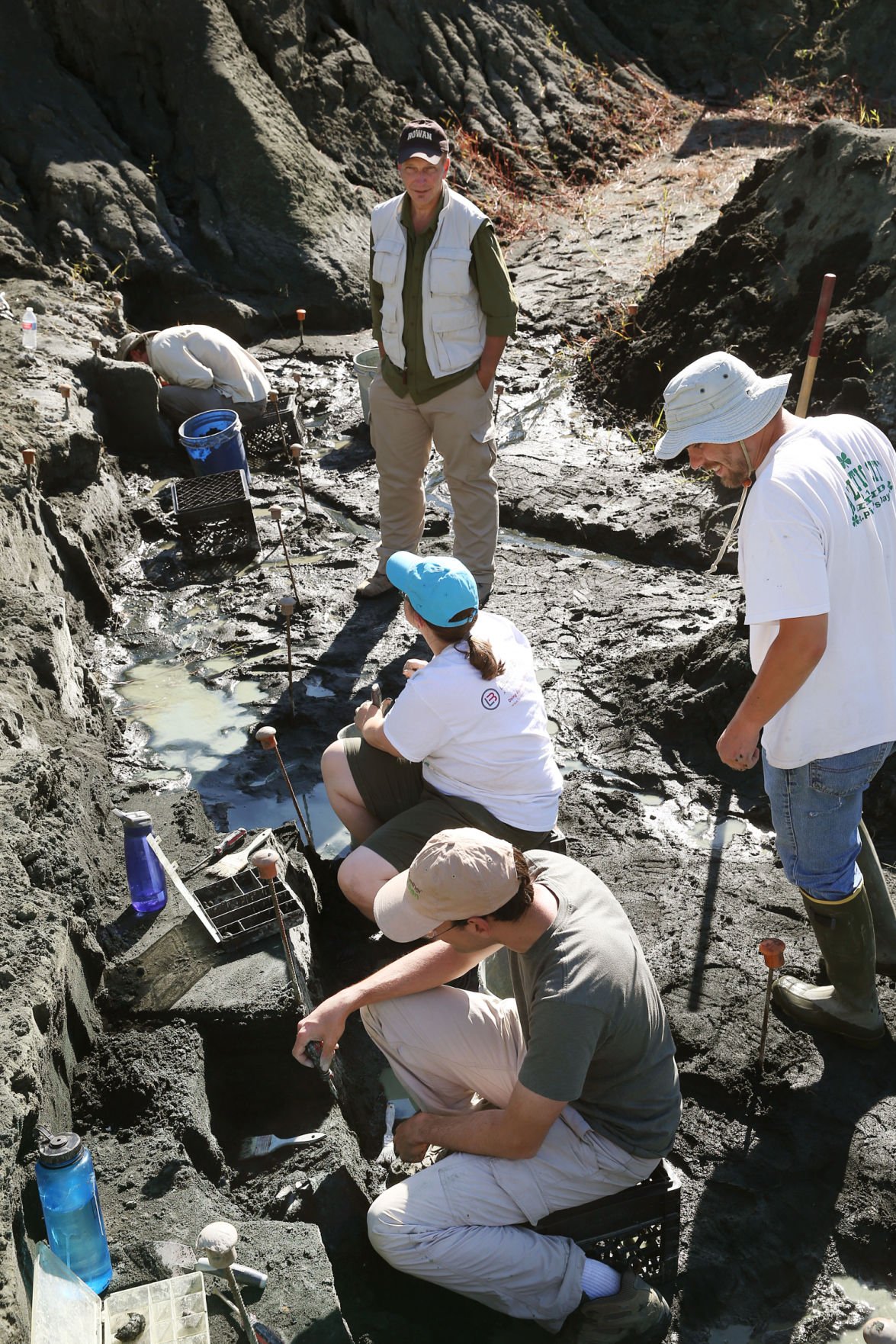 rowan dinosaur dig