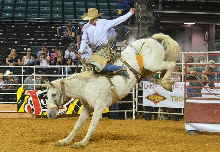 boardwalk rodeo