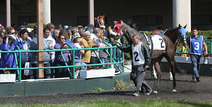 Day at the Races