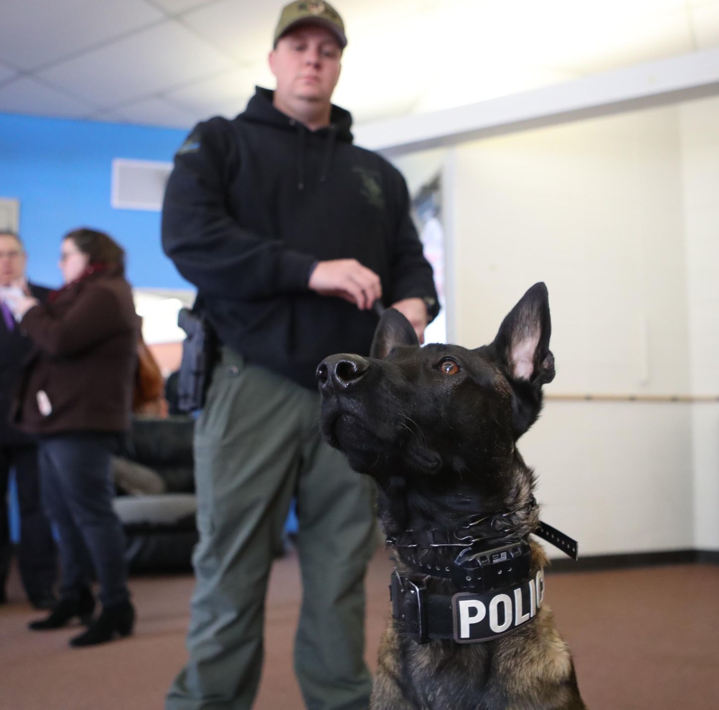 police academy dog training