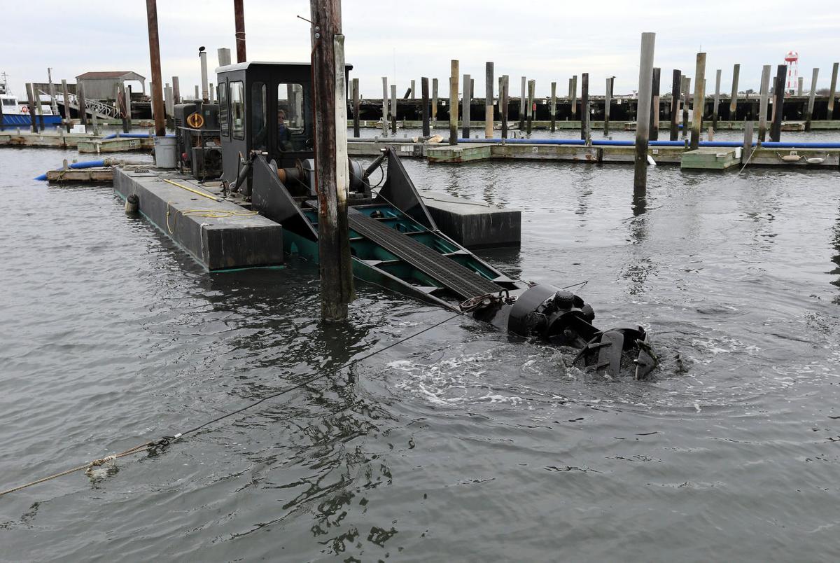 Mystery Fish Halts Cape May Harbor Dredging Latest Atlantic City
