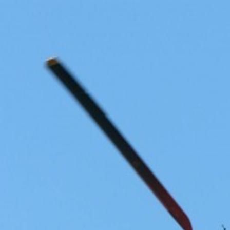Ocean City To Ban Sale Of Laser Pointers After Incident Involving