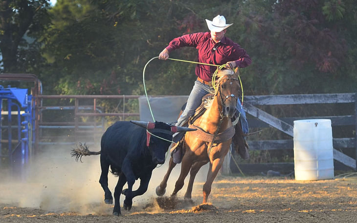 butch days rodeo