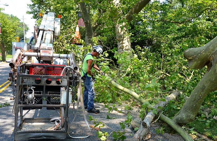storm cleanup