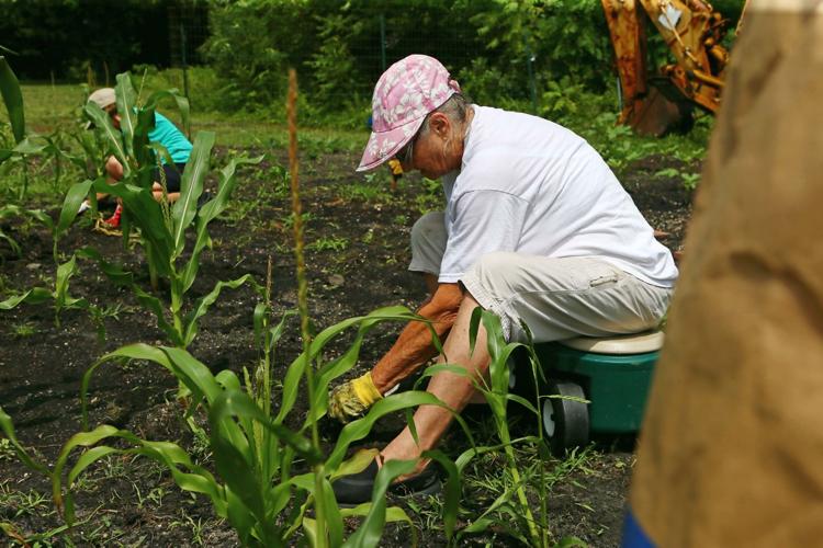 Community Garden in Pleasantville