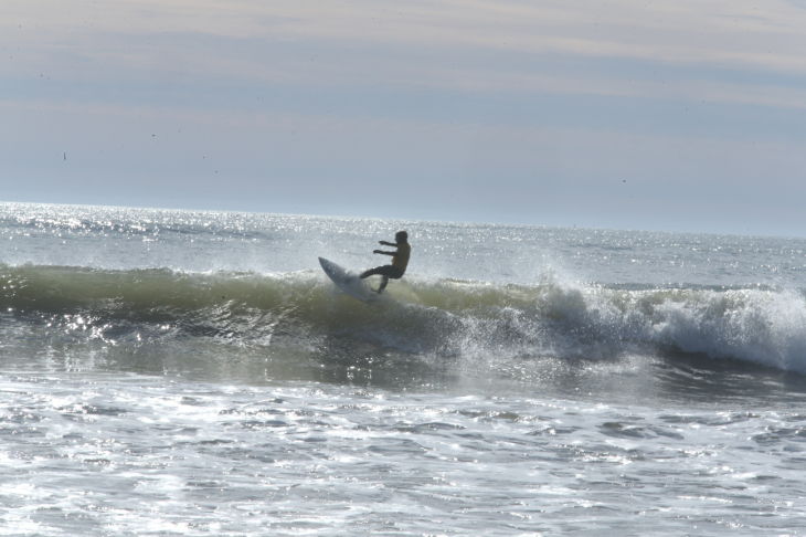 SURFING FOR CANCER