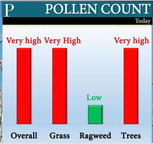 Can't stop coughing? Pollen levels now 'very high' across South Jersey