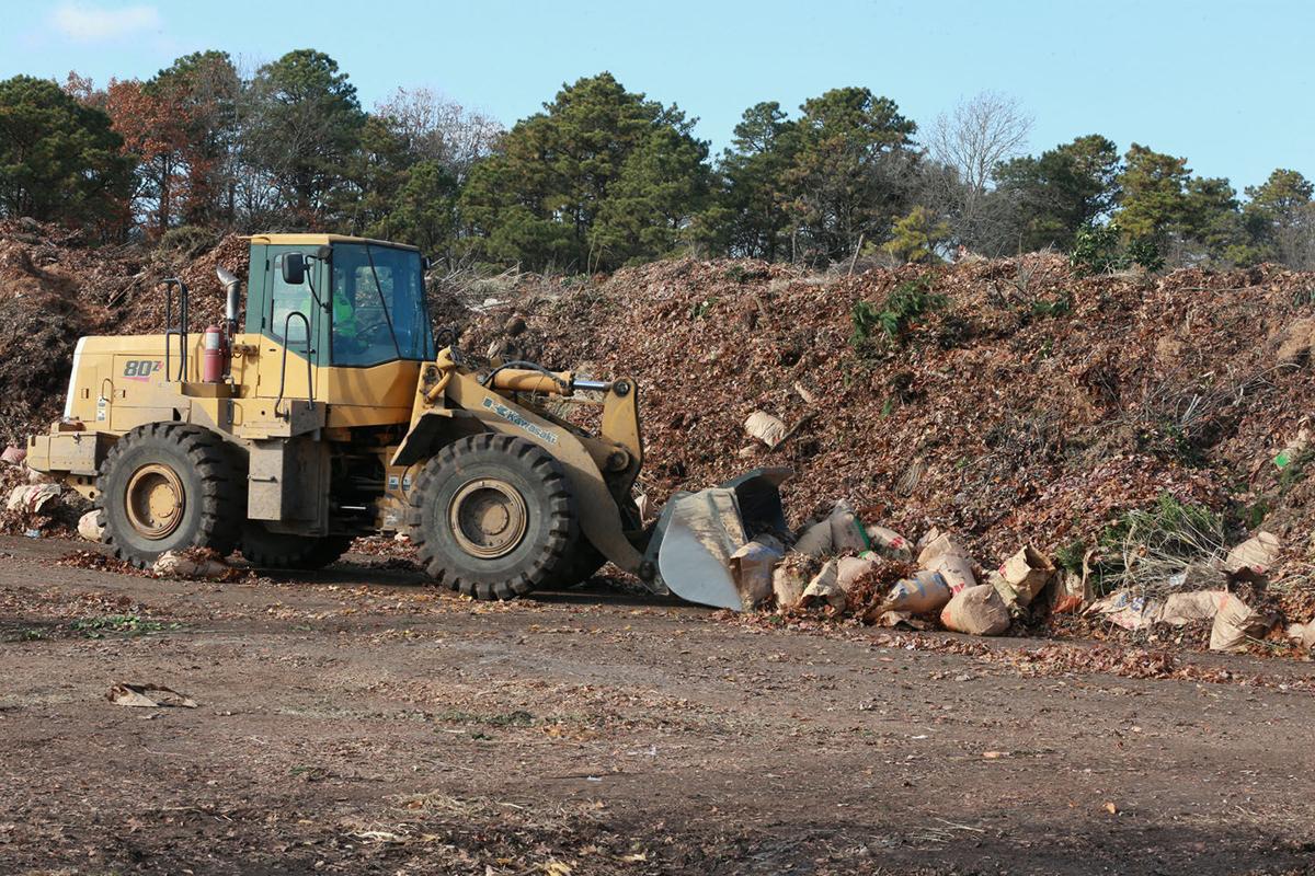 Recycled Christmas Trees Get Second Life As Compost Dunes Latest Headlines Pressofatlanticcity Com