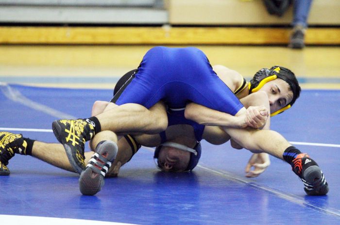 lower hammonton wrestling
Assignment ID: