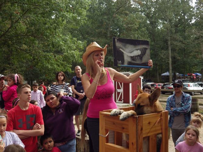 October Farm Humor Rescued farm animals and pets grab the spotlight at Hamilton Mall