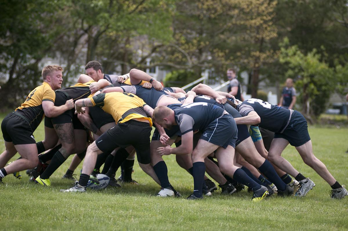 Galloway Rugby