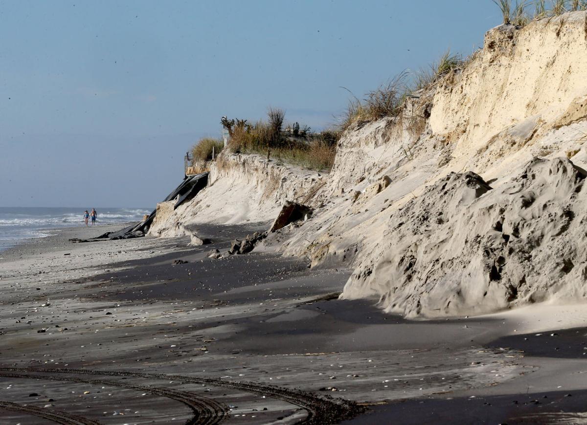 Wildwood Dunes