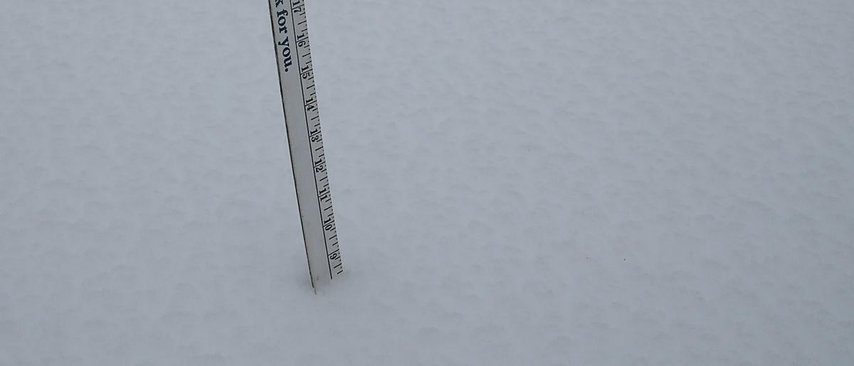 Snow storm coverage